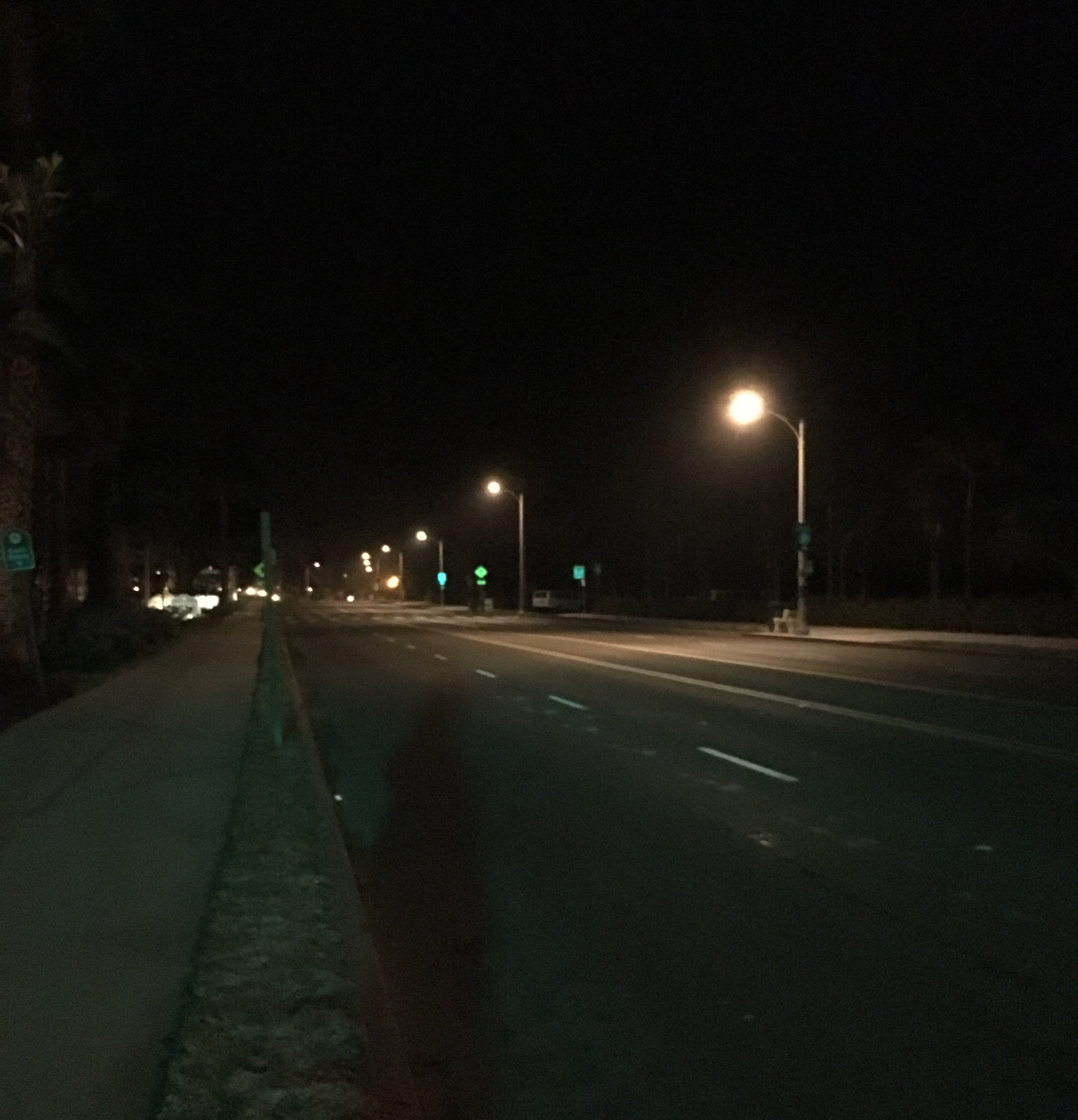 Roostermon iii.jpg?ixlib=rails 2.1