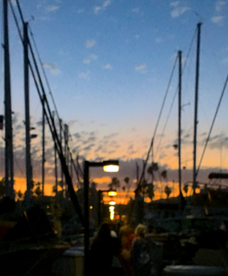 Roostermon iv.png?ixlib=rails 2.1