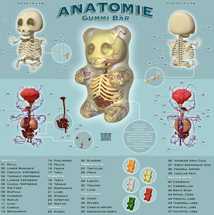 Gummibear.jpg?ixlib=rails 2.1