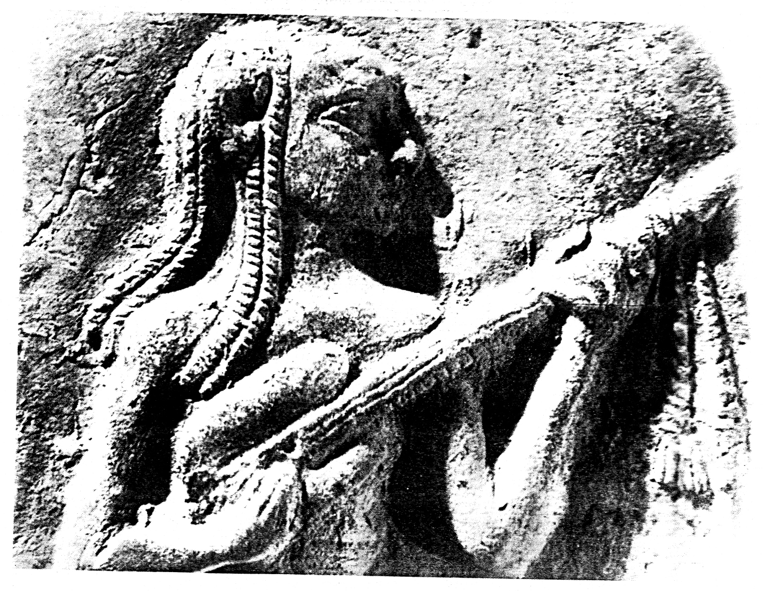 Babylonian guitar.jpg?ixlib=rails 2.1