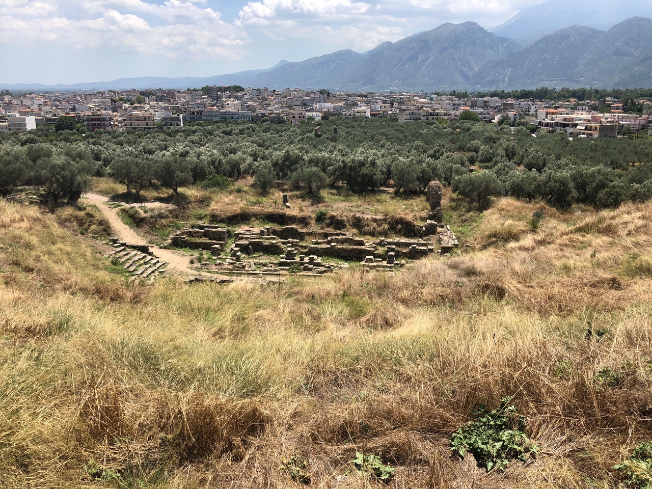 Sparta1.jpeg?ixlib=rails 2.1