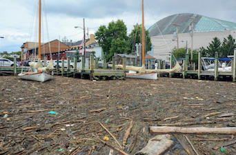 Bs md hogan franchot bay 20180801.jpg?ixlib=rails 2.1