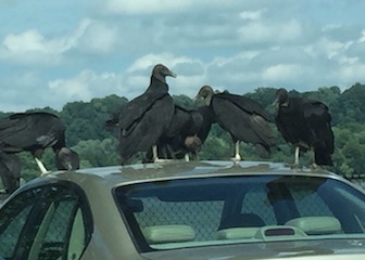 Image 1.jpg?ixlib=rails 2.1