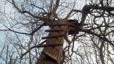 Rsz 1screen shot 2018 08 20 at 113355 pm.png?ixlib=rails 2.1