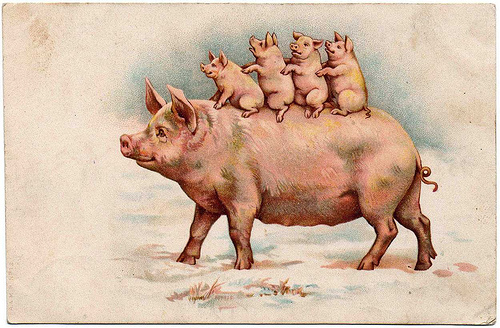 9786036486 194257a5d0 o.jpg?ixlib=rails 2.1