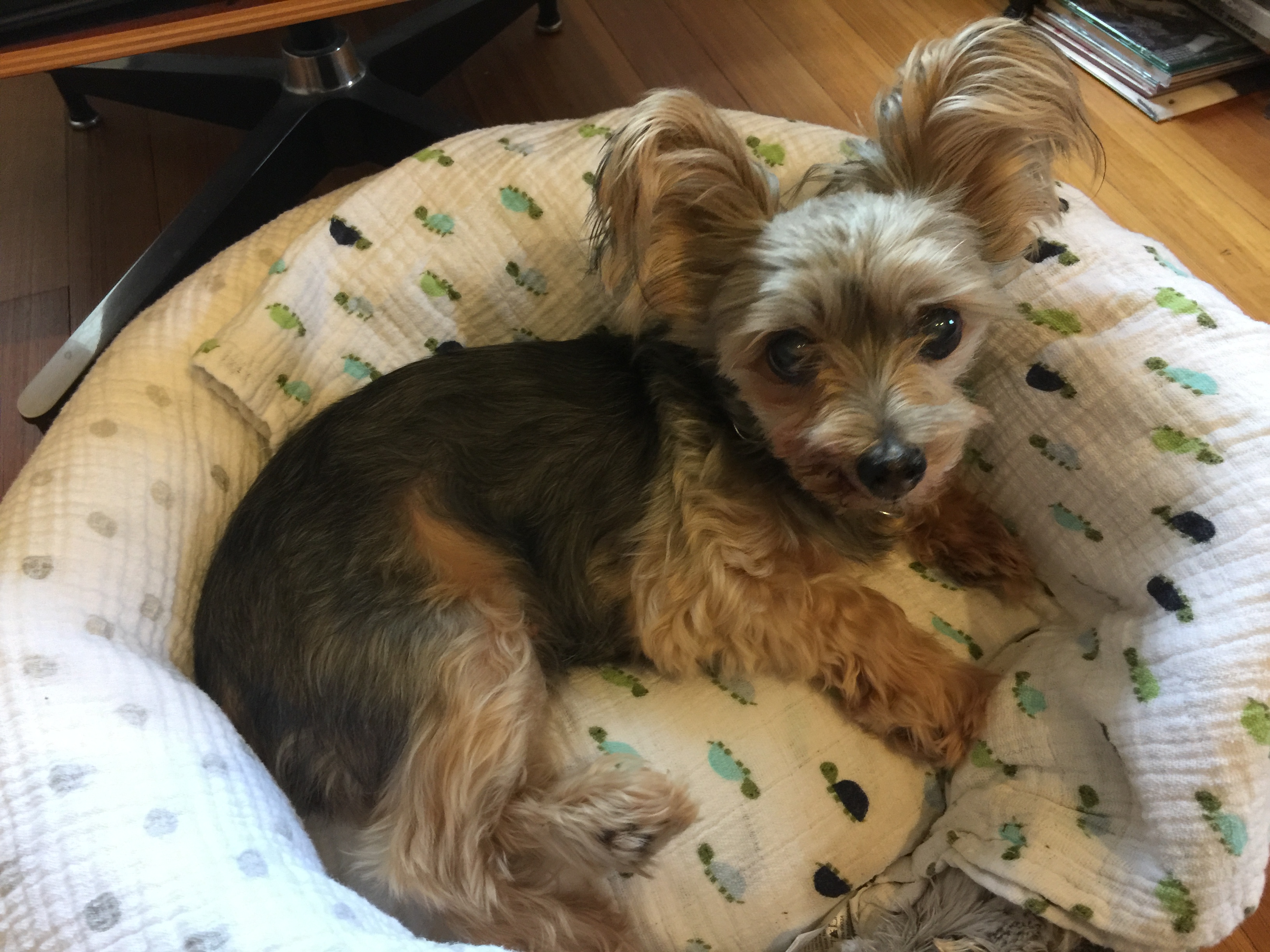 6image1.jpeg?ixlib=rails 2.1