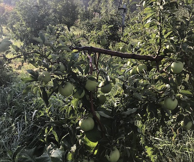 Img 2256.jpg?ixlib=rails 2.1