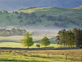 Istock 000009774017 medium.jpg?ixlib=rails 2.1