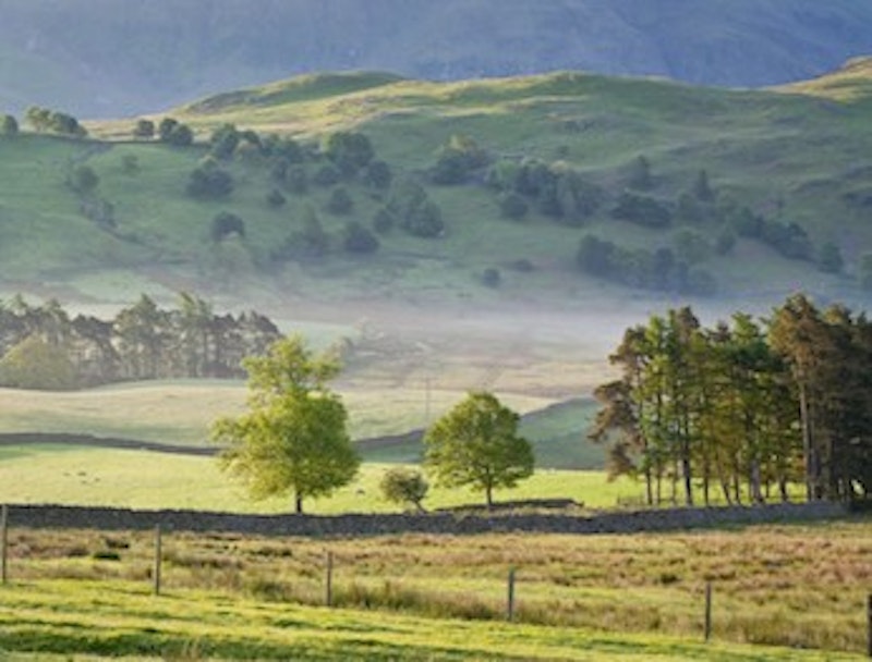 Istock 000009774017 medium.jpg?ixlib=rails 2.1