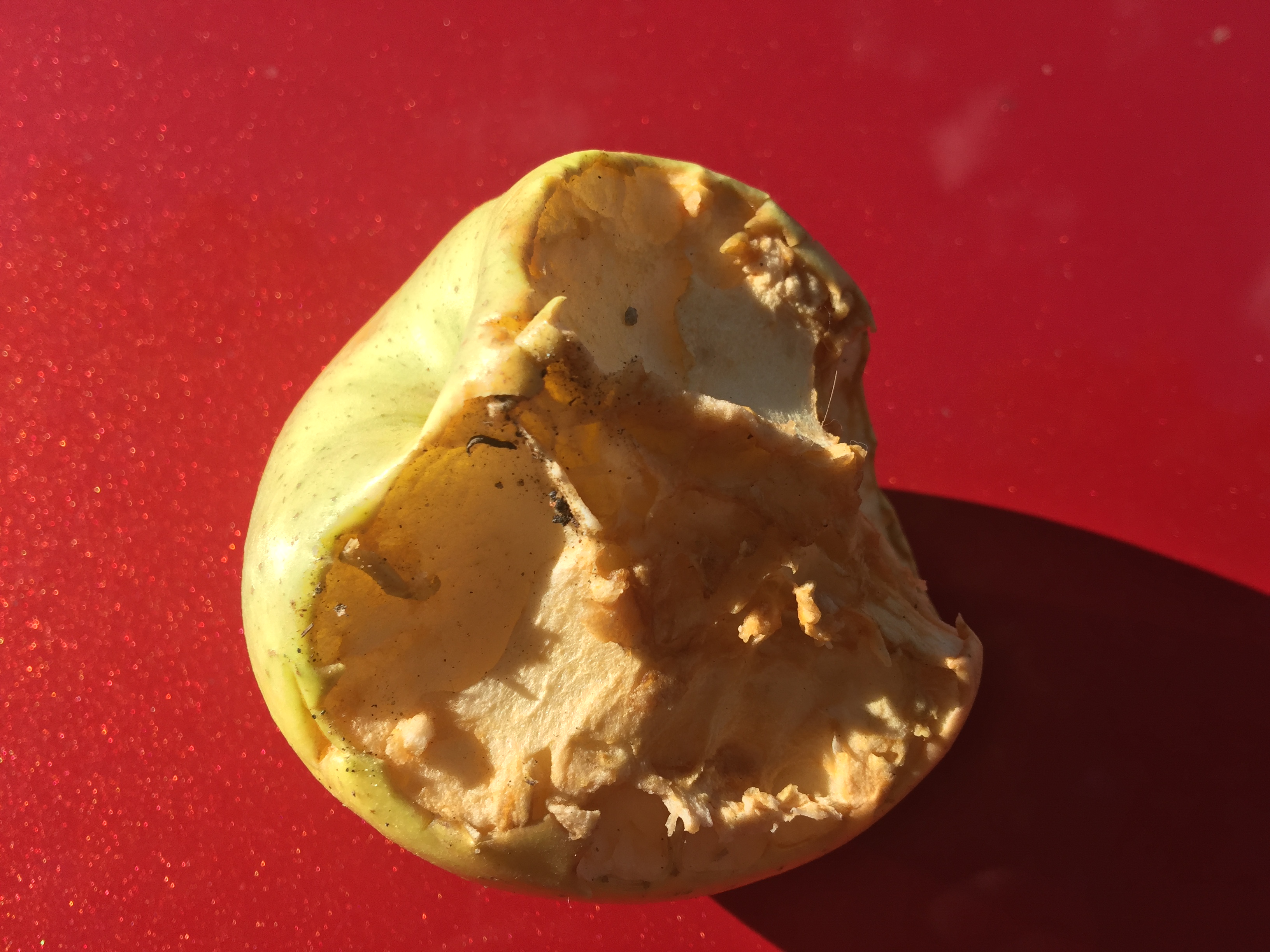 2image1.jpeg?ixlib=rails 2.1