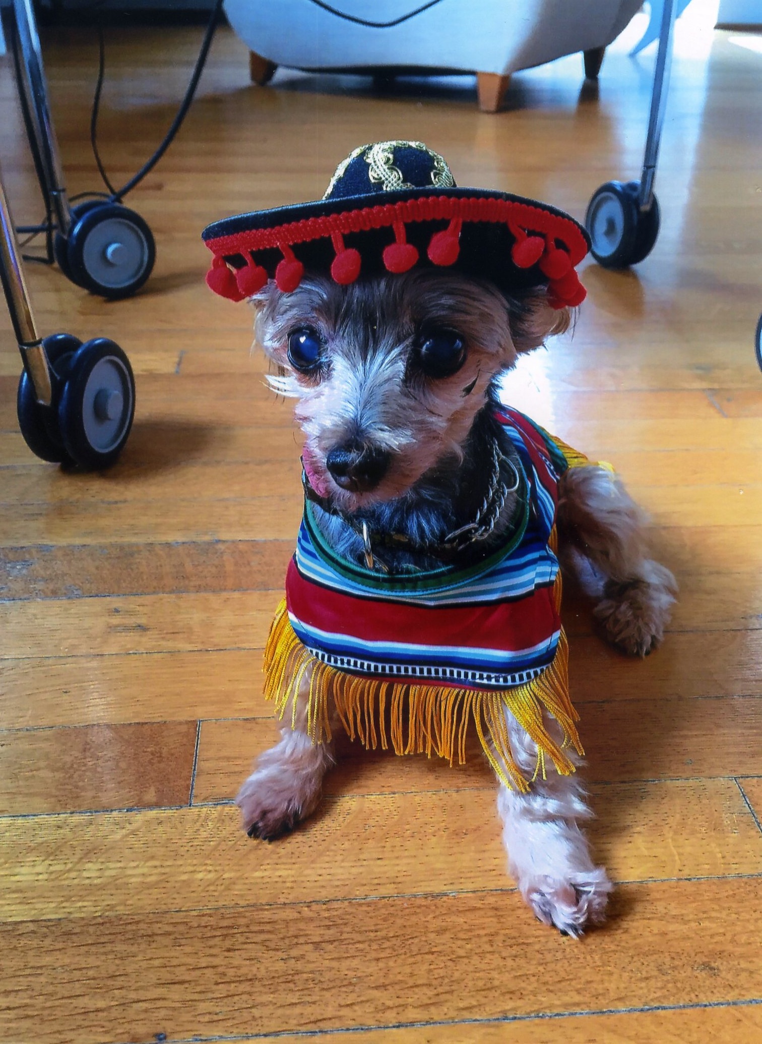 1img327.jpg?ixlib=rails 2.1