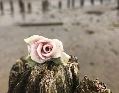 Img 9838.jpeg?ixlib=rails 2.1