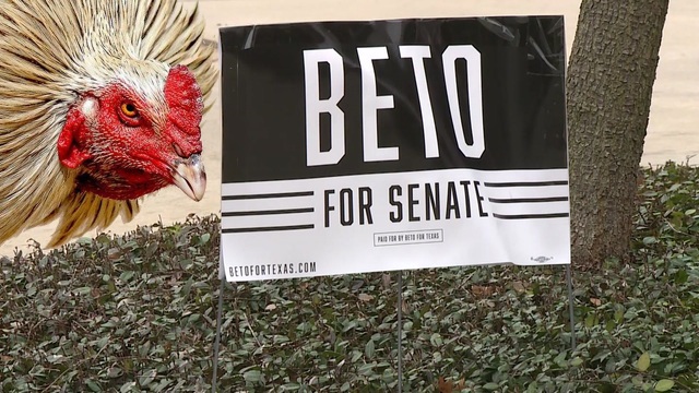 Stolen campaign signs 5p tw tokprcftp 1518472966219.jpg 11648163 ver1.0 640 360.jpg?ixlib=rails 2.1