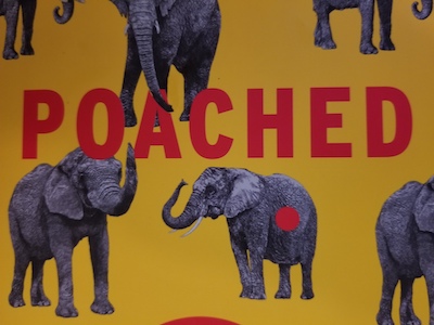 20181110 202745.jpg?ixlib=rails 2.1