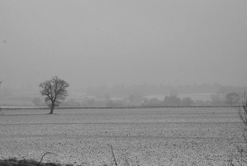 Bleak  2353719475 .jpg?ixlib=rails 2.1