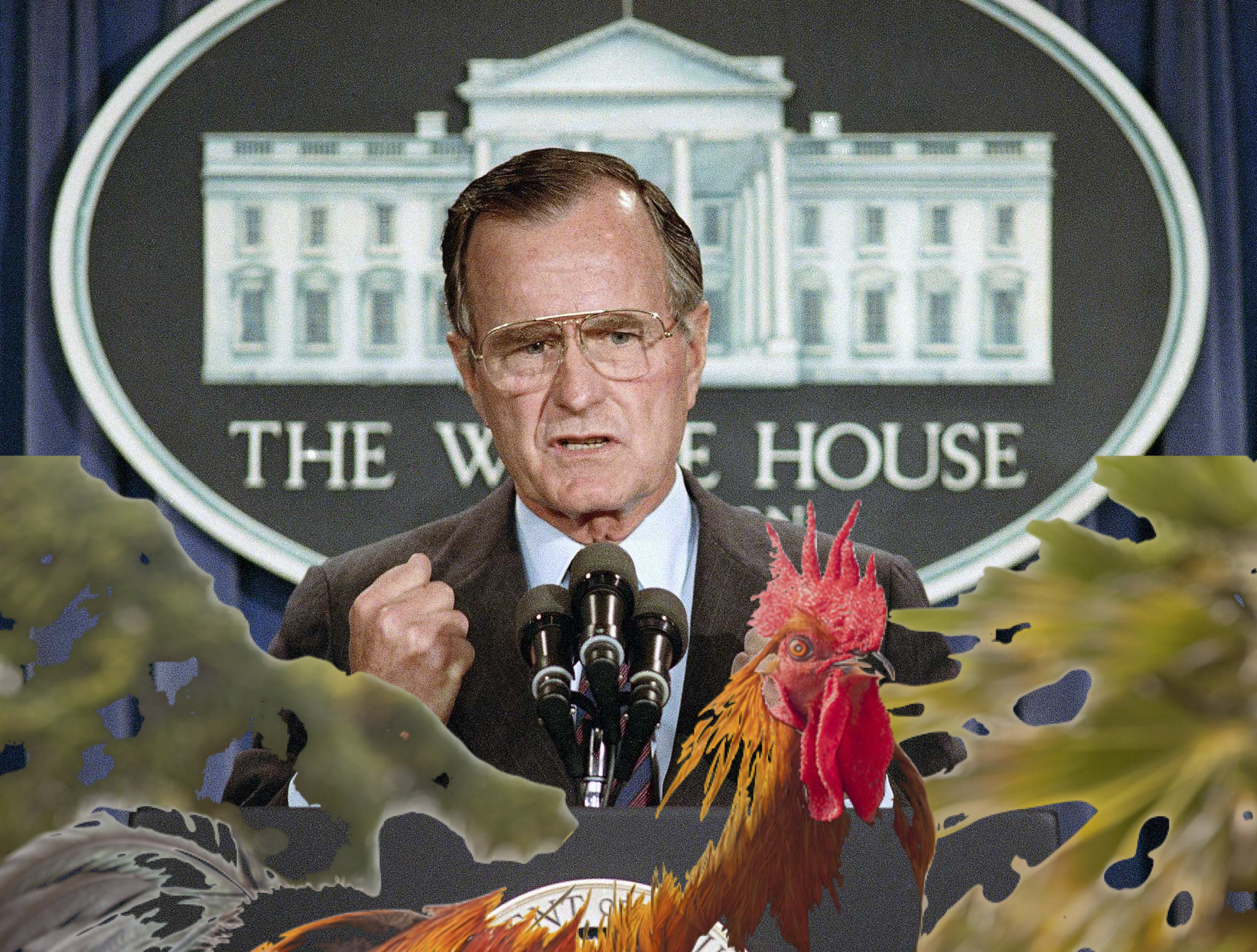 Rooster ghwb.jpg?ixlib=rails 2.1