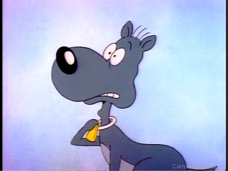 Porkchop looking shocked rc314.jpg?ixlib=rails 2.1