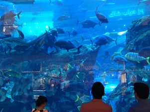 E111b421 1264 4391 a790 eea875857f19.jpg?ixlib=rails 2.1