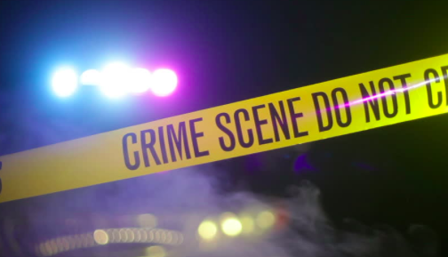 Screen shot 2019 01 01 at 9.27.07 pm.png?ixlib=rails 2.1