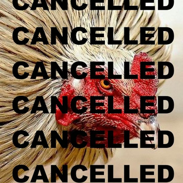 When a Rooster Gets Cancelled | www.splicetoday.com