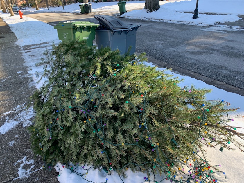 Fresh Garbage | www.splicetoday.com