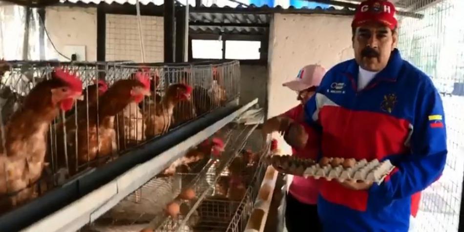 5aac7d106743b.jpeg?ixlib=rails 2.1