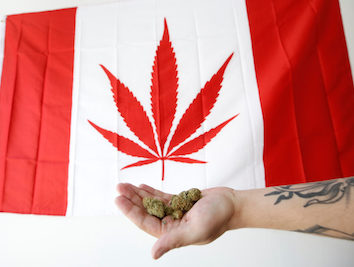 Rtx6a7i6 1024x683.jpg?ixlib=rails 2.1