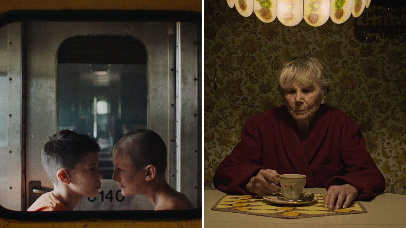 Fauve and marguerite split h 2019.jpg?ixlib=rails 2.1