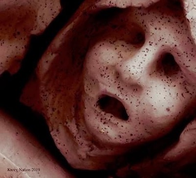 Img 0339.jpg?ixlib=rails 2.1