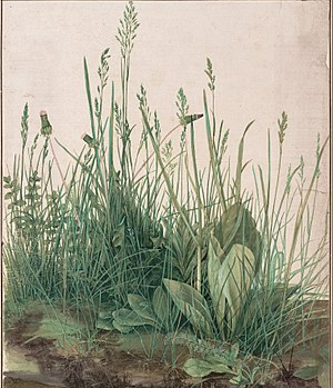 Image.png?ixlib=rails 2.1