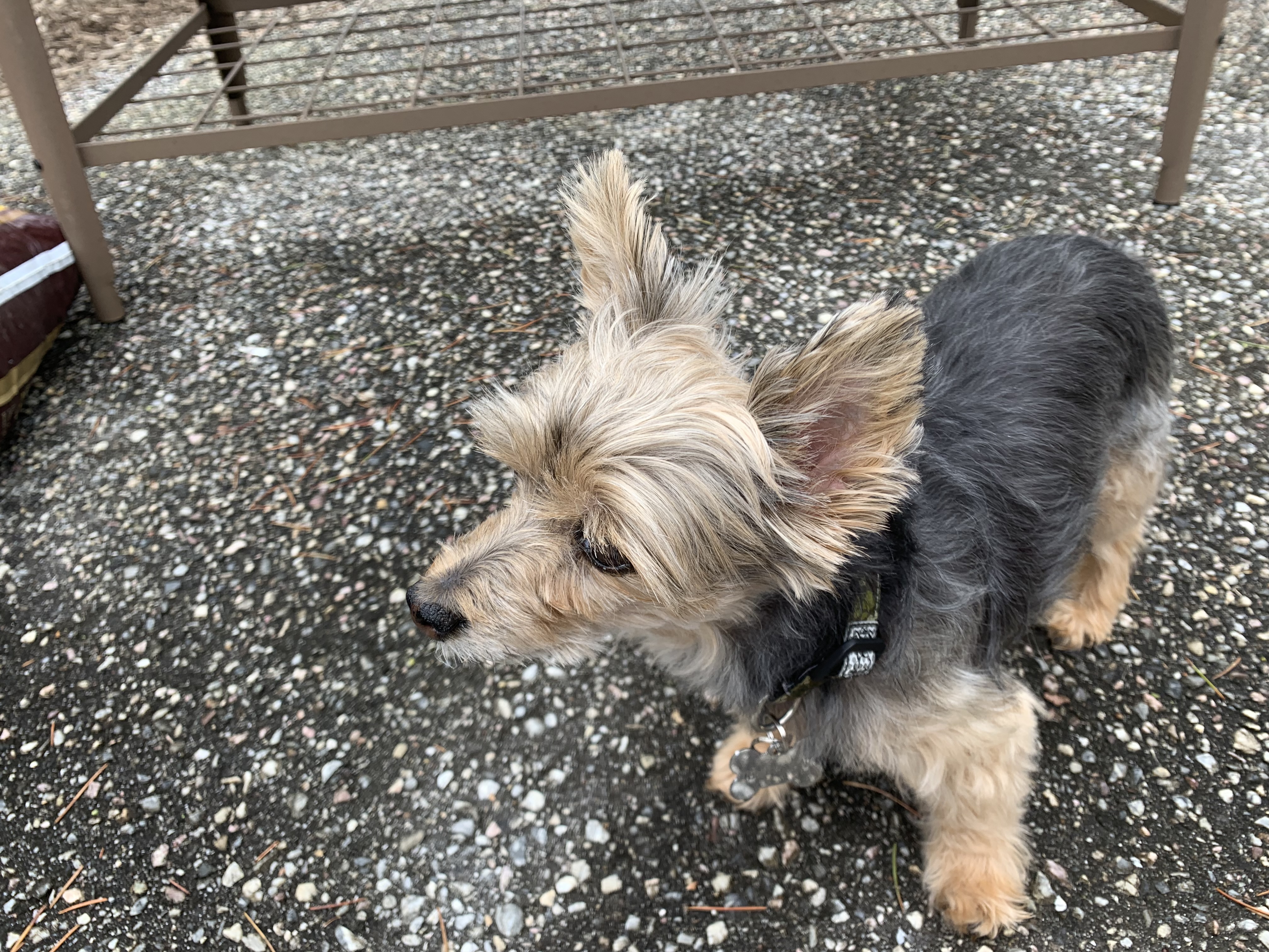 Img 0095.jpeg?ixlib=rails 2.1