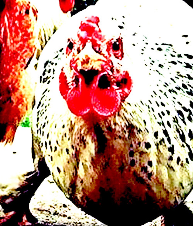 S b87f1d91c3bf3a0672cf747d6fdb66e18691d824.jpg?ixlib=rails 2.1