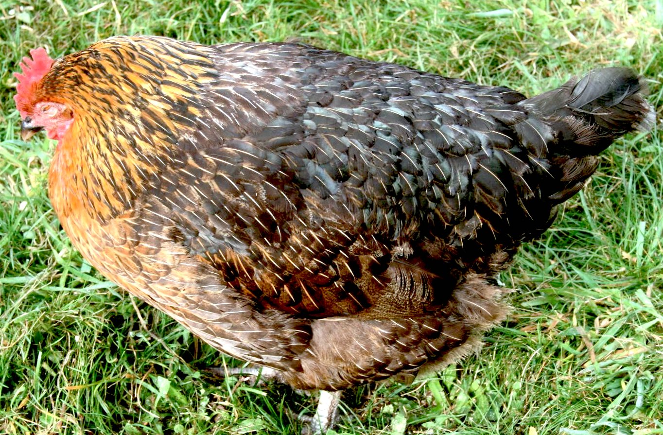 700.jpeg?ixlib=rails 2.1