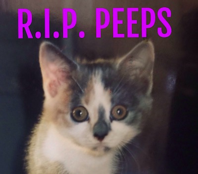 Img 0708.jpg?ixlib=rails 2.1