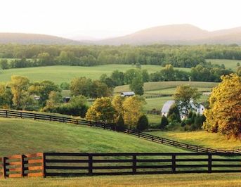 073e8befad9c019ee187e90585ef09f2.jpg?ixlib=rails 2.1