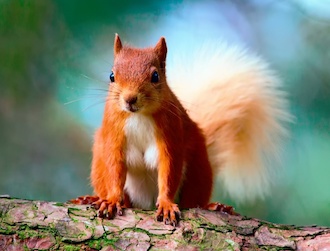 46528hd.jpg?ixlib=rails 2.1