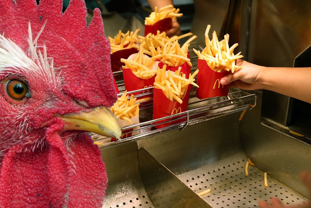 S096610898.jpg?ixlib=rails 2.1