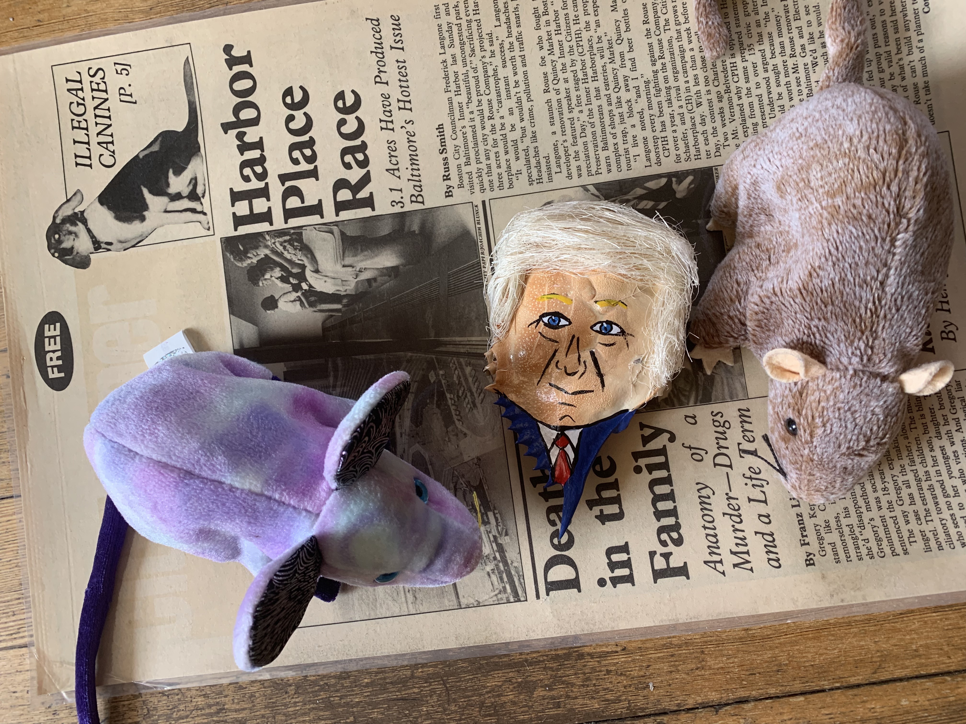 Img 0163.jpeg?ixlib=rails 2.1