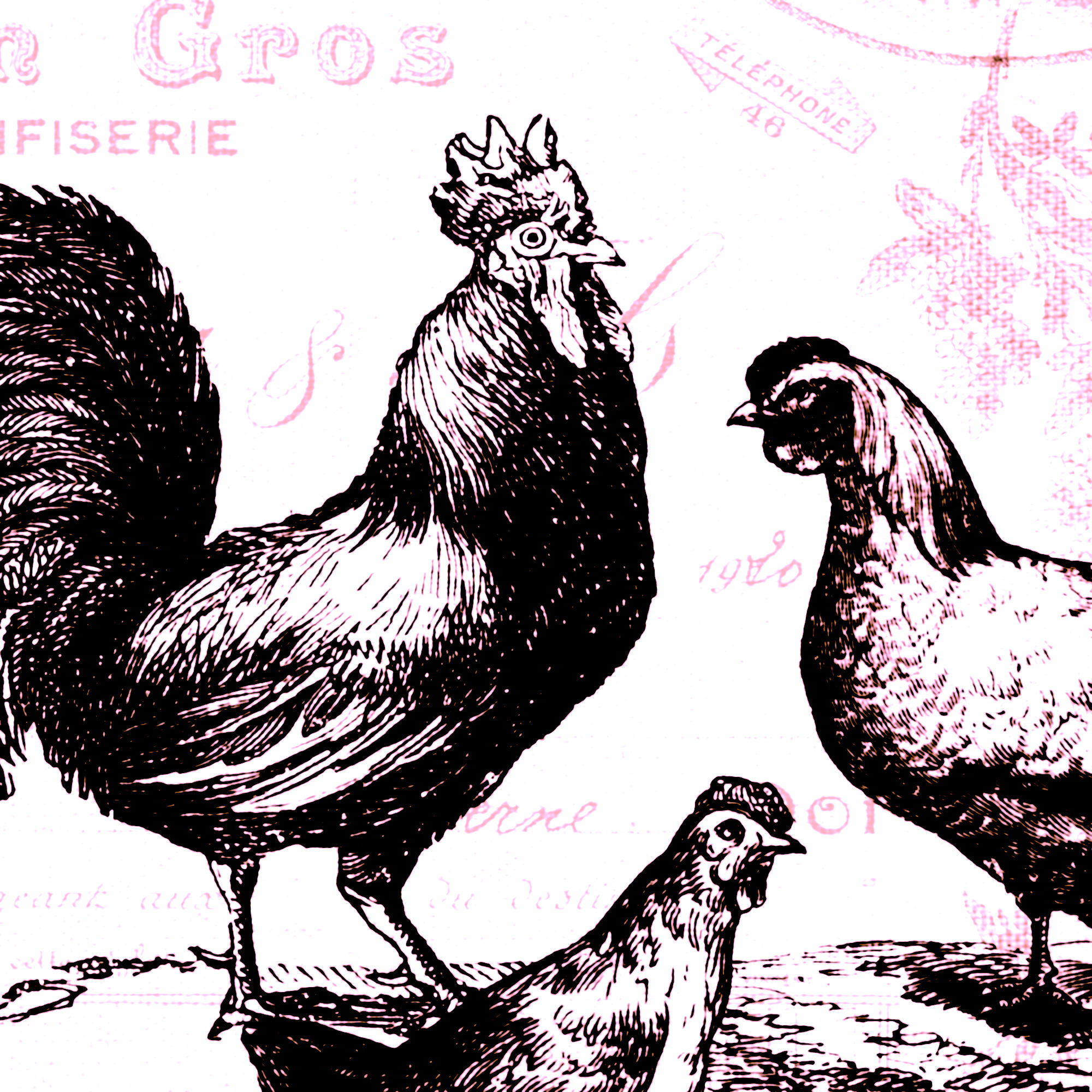 0a736b72 9983 4a1e 8b33 60aa12ae6b51 1.d00ed3bd35743b727defef6b9f0e0711.jpeg?ixlib=rails 2.1