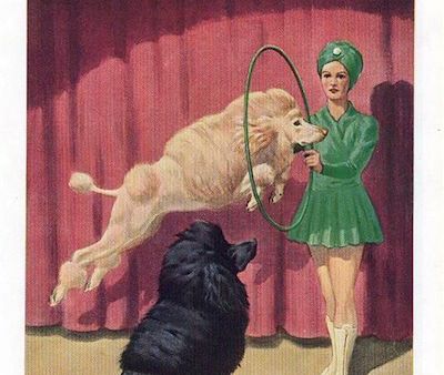 E488773beb82c802d6d2309835480422.jpg?ixlib=rails 2.1