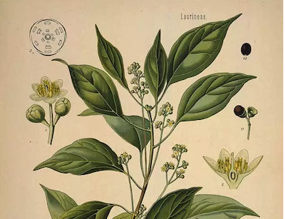 8040a1d22349b4bcbd86e63180a25f97.png?ixlib=rails 2.1