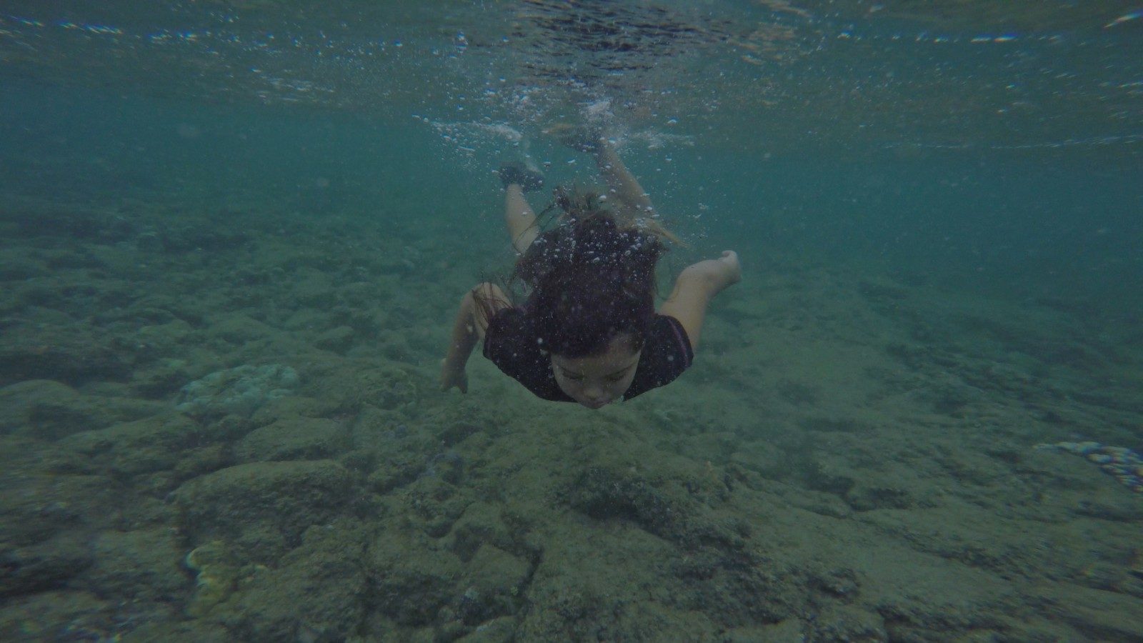 Aotr swarmseason 01 1600x900 c default.jpg?ixlib=rails 2.1