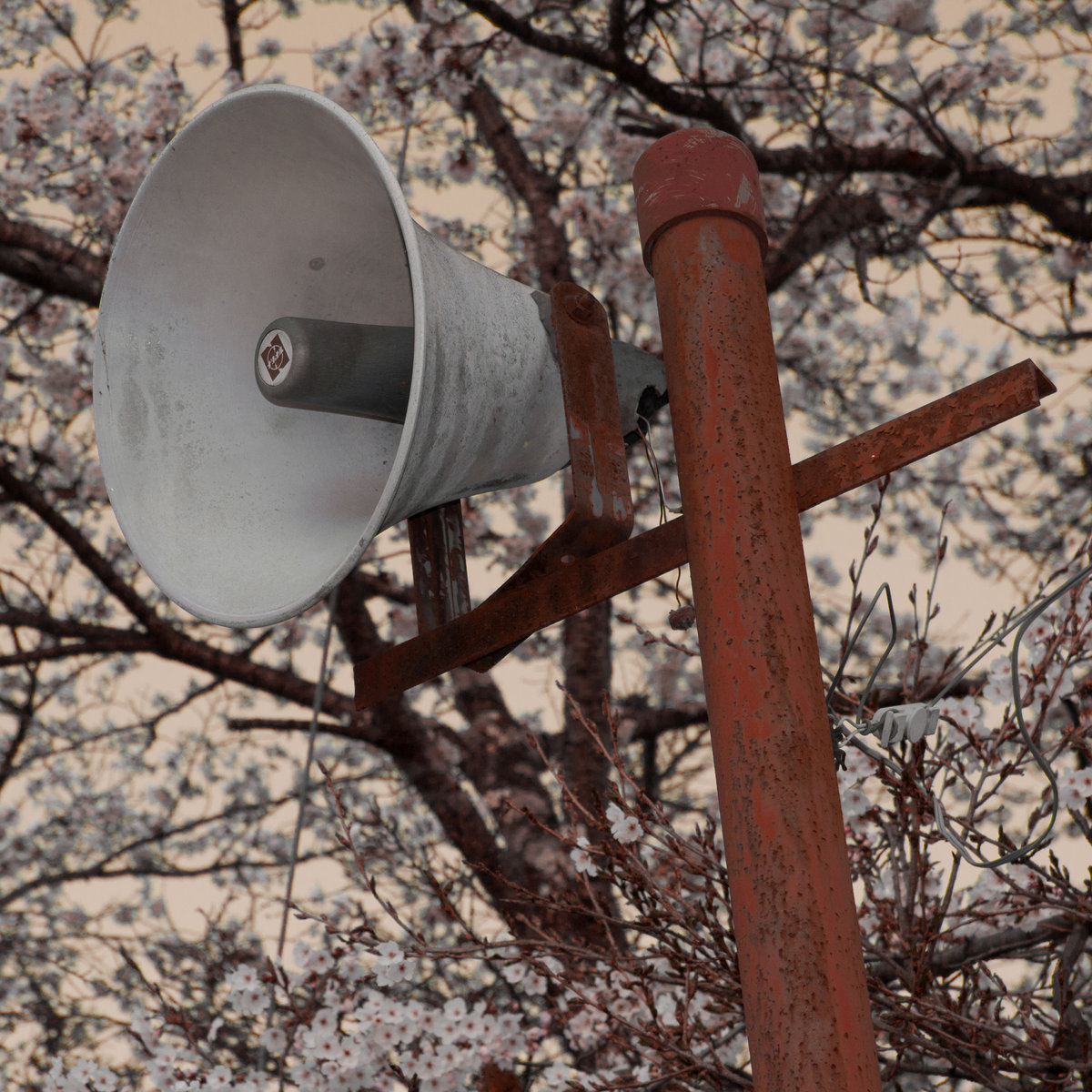 A0518958490 10.jpg?ixlib=rails 2.1