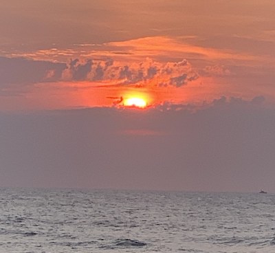 Img 0984.jpg?ixlib=rails 2.1