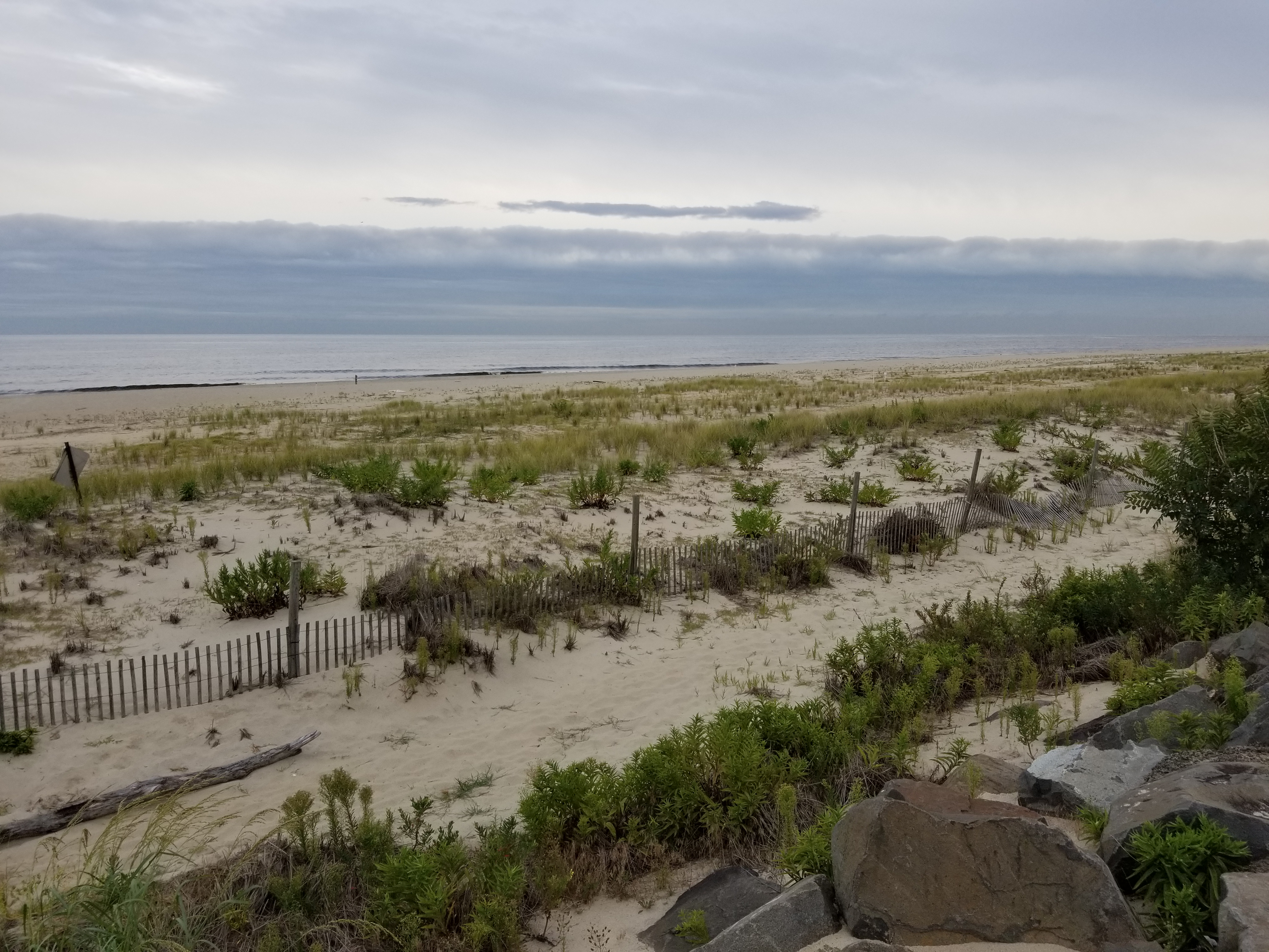 20190823 174945.jpg?ixlib=rails 2.1