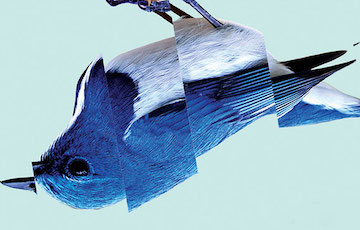 Timewar.jpg?ixlib=rails 2.1