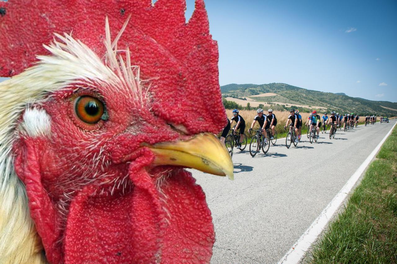 Sunny group riding.jpg?ixlib=rails 2.1