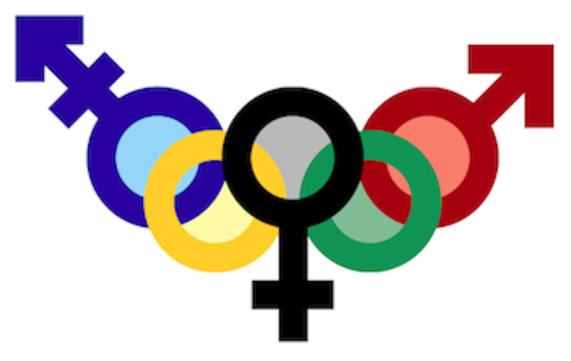Peyton ayers trans olympics.png?ixlib=rails 2.1