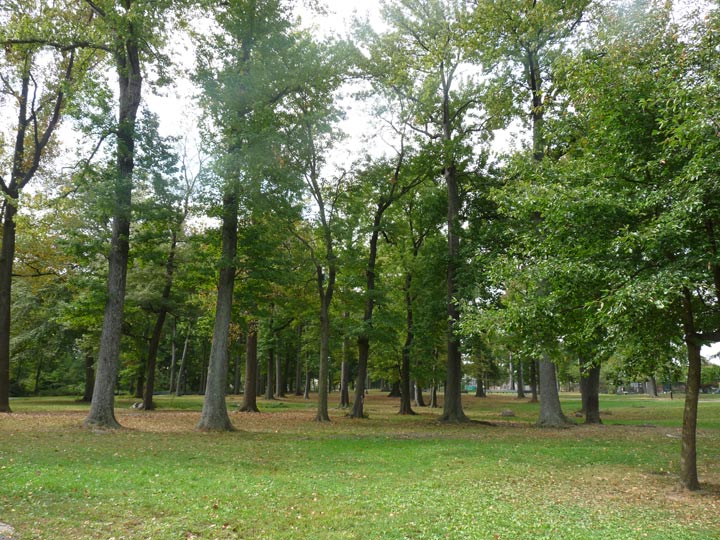 Park.jpg?ixlib=rails 2.1