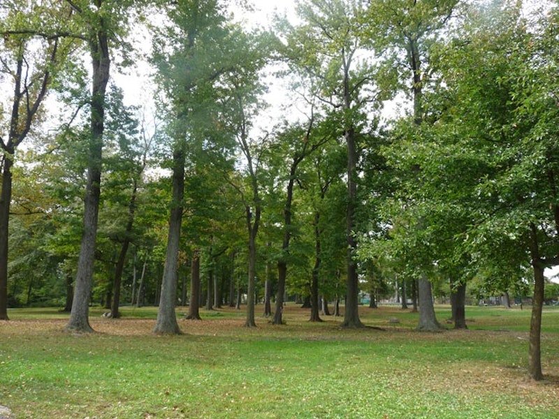 Park.jpg?ixlib=rails 2.1